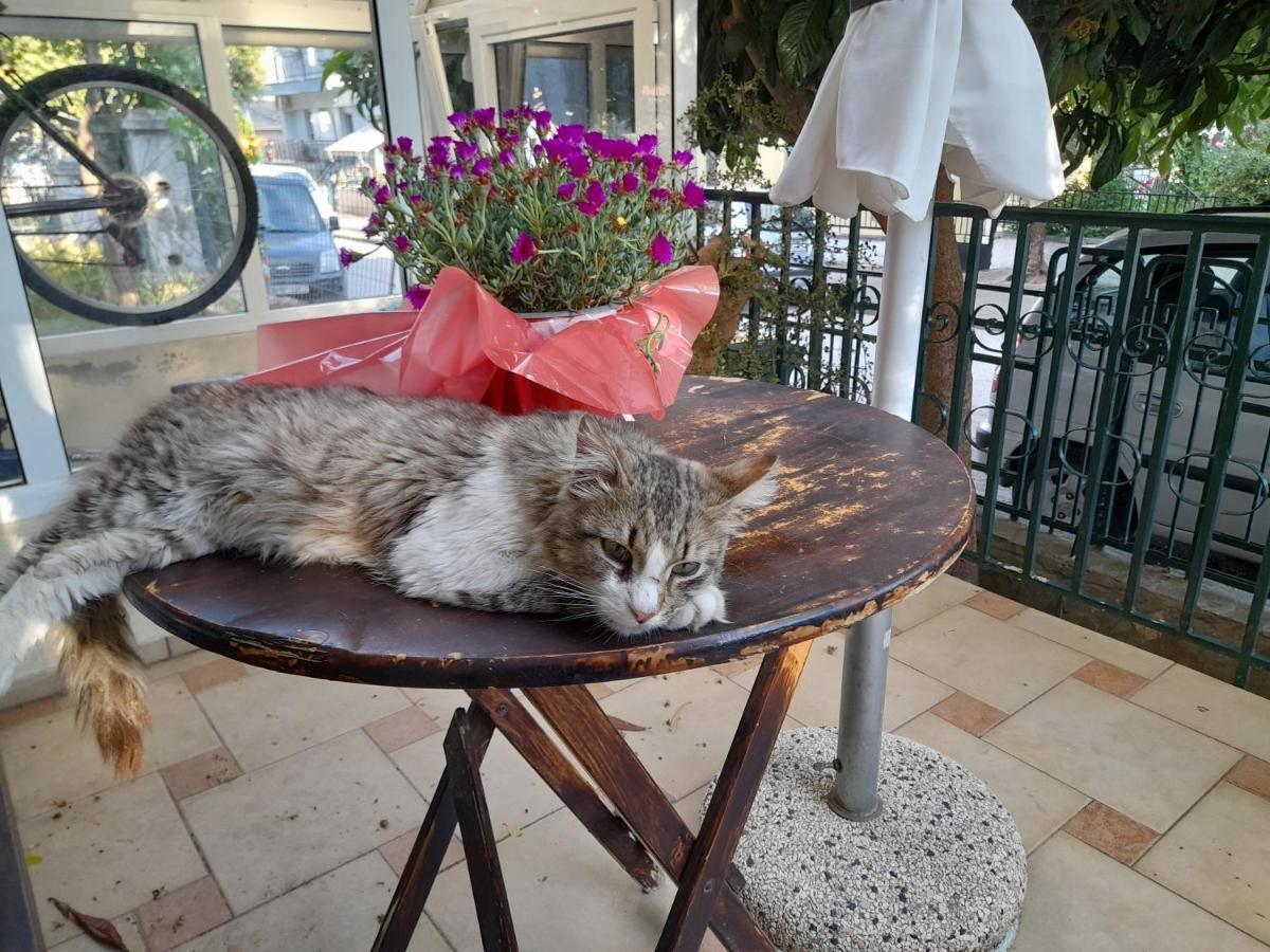 Apartment Friendly Philoxenia